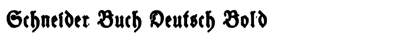 Schneider Buch Deutsch Bold